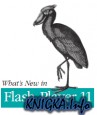 What\'s New in Flash Player 11