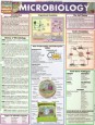 BarCharts, Inc.