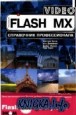 Flash MX Video.  