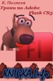   Adobe Flash CS3