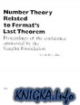 Number Theory Related to Fermat\'s Last Theorem