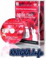    Flash