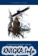 Тихоокеанский орлан Haliaeetus pelagicus: экология, эволюция, охрана