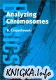 Analyzing Chromosomes