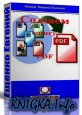   PDF (      PDF)
