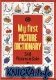 My first picture dictionary. 348 Picture in Color
